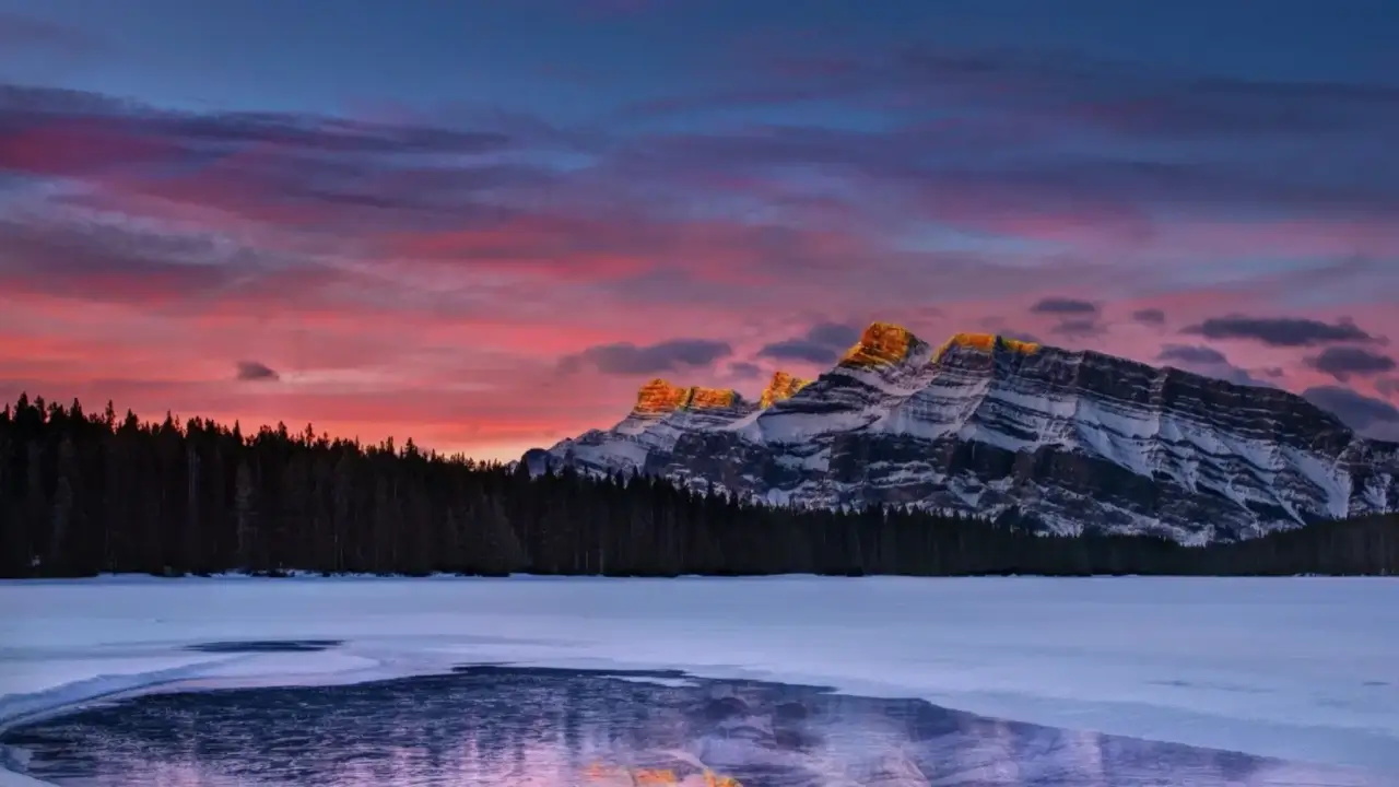 Hailuo 02 AI Video Generator Background